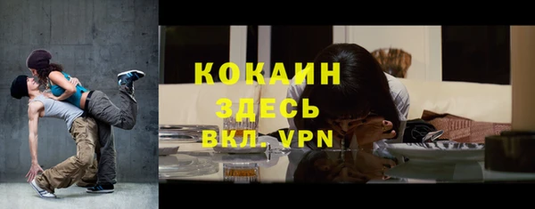 сатива Кодинск