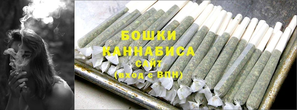 сатива Кодинск