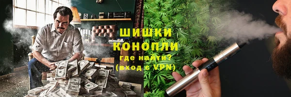 сатива Кодинск