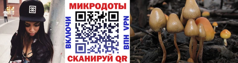 Купить закладки  Лиски  Галлюциногенные грибы MAGIC MUSHROOMS 